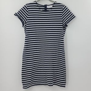 Everlane navy and white striped t shirt dress